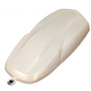 LC2X-02 Gold Pearl (골드펄) 메탈릭 페인트