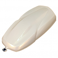 프로텍트 LC2X-12 Flash Gold (플래시 골드) 메탈릭 고무 코팅제